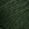 8571 dark green