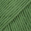 43 forest green