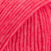 64 Rasberry sorbert