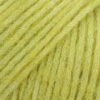 60 Bright olive