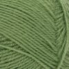 8753 Vineyard green